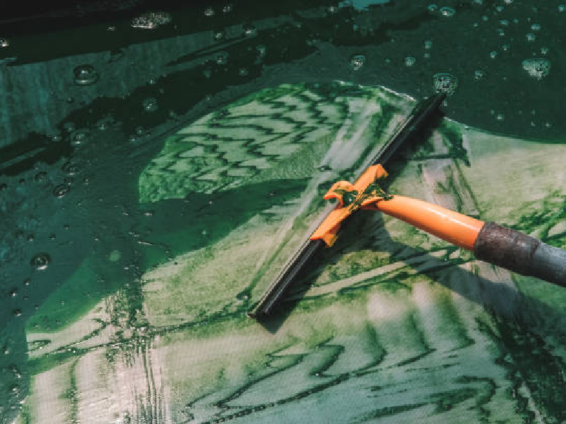 spirulina farming solution